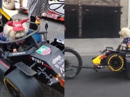 A través de redes sociales, Jorge Alvarado confirmó la noticia de que el también conocido como Checo “Perrito” Pérez asistirá al Gran Premio de México. ESPECIAL