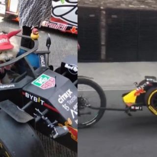 ¡Ternura! Perro fan de "Checo" Pérez conocerá a su ídolo en el Gran Premio de México