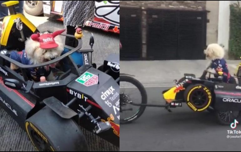 A través de redes sociales, Jorge Alvarado confirmó la noticia de que el también conocido como Checo “Perrito” Pérez asistirá al Gran Premio de México. ESPECIAL