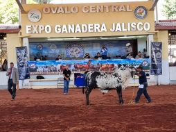 La Expo Ganadera tendrá abiertas sus puertas hasta el 13 de noviembre. EL INFORMADOR/ E. GÓMEZ