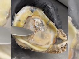 Un hallazgo que no le ocurre a cualquiera, fueron perlas lo que encontró este hombre dentro del molusco. TIKTOK/CAPTURA DE VIDEO