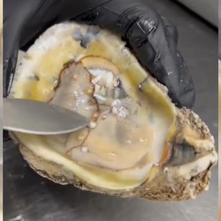 Viral: Empleado de marisquería halla perlas al limpiar ostras (VIDEO)
