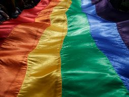 La comunidad LGBT+ en Francia, tiene quien la represente desde el nombramiento del nuevo embajador. EL INFORMADOR/ARCHIVO