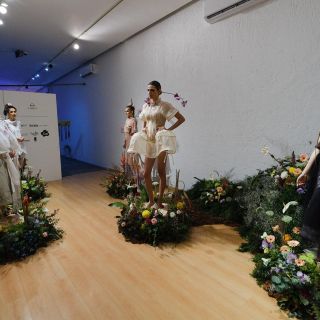 Proyectos de segunda generación de la PAD exhiben virtudes del programa