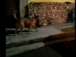 Tras viralizarse el video, familiares de un taxista de San Luis Potosí acudieron a la Fiscalía de Zacatecas con el objetivo de reconocer la cabeza. ESPECIAL