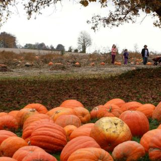 Efemérides: ¿Qué se conmemora hoy, 31 de octubre?