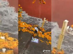 En un video se observa cómo el agua arrastra con las flores de cempasúchil colocadas en la calle Abasolo. TikTok / @melinapvh