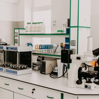 Suman 14 casos positivos de viruela de mono en Sinaloa