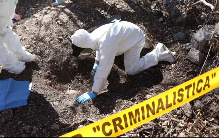 Se hallan fosas clandestinas en Irapuato con al menos 41 bolsas de restos humanos. EFE/F. Meza
