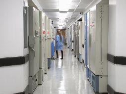 Los autores del estudio, liderados por el epidemiólogo Thomas Ward, examinaron los datos de casi tres mil pacientes británicos. ESPECIAL/Foto de CDC en Unsplash