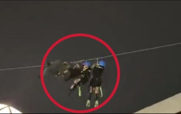 Internautas exigieron que no sea llamado el momento como un accidente, sino como negligencia. ESPECIAL/CAPTURA DE VIDEO