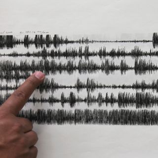 ¿Cuál es la diferencia entre un sismo trepidatorio y oscilatorio?