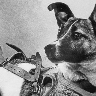 Efemérides: ¿Qué se conmemora hoy, 3 de noviembre?