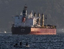 Siete buques de carga transportan un total de 290 mil 102 toneladas de cereales y productos agrícolas por el Mar Negro. AFP/O. Kose