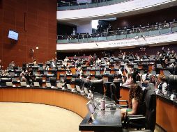 La reforma fue turnada a la Cámara de Diputados tras su aprobación este jueves. EFE/Cámara de Senadores