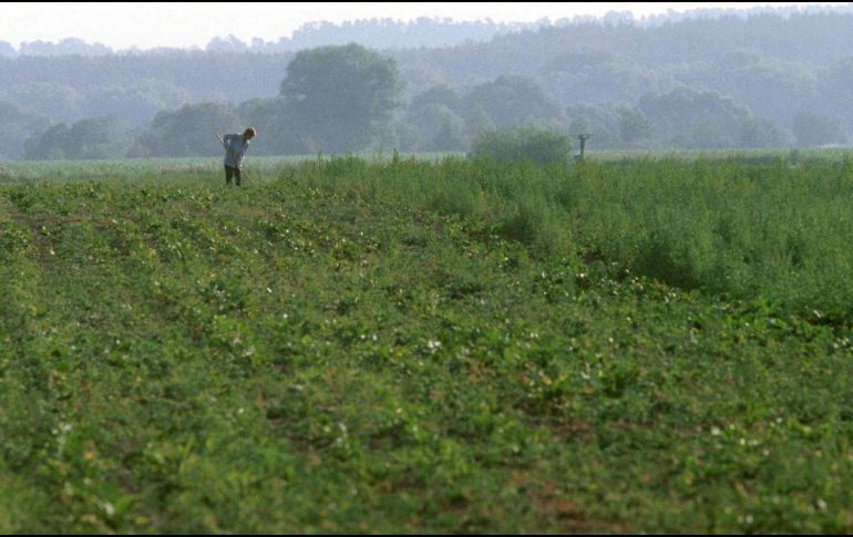 El acuerdo firmado en julio pasado entre Kiev y Moscú privilegia las exportaciones a puertos europeos; Rusia plantea cambiar esa situación. AP/Archivo