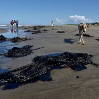 Pescadores denuncian nuevo derrame de Pemex en bahía La Ventosa