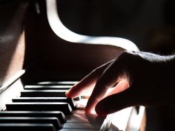 ESPECIAL/Foto de Tadas Mikuckis en Unsplash