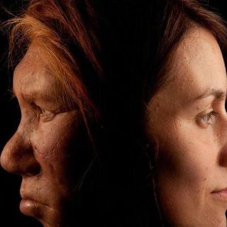 ¿La violencia o el sexo?: la investigación que busca descifrar qué acabó con los neandertales