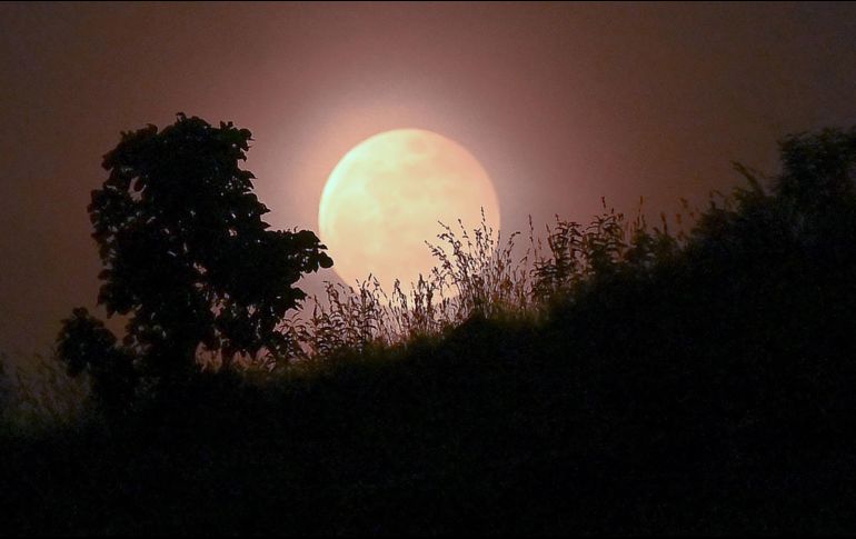 La Luna de sangre vista en Bangaluru, India. AFP / M. Kiran