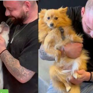 Conoce al quiropráctico de perros que es un "rockstar" en TikTok