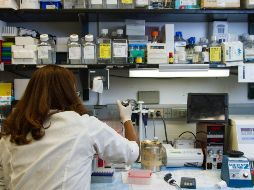 Hasta ahora, se han identificado siete defunciones: seis hombres y una mujer, aunque no en todas se ha determinado una causalidad directa. ESPECIAL/Foto de National Cancer Institute en Unsplash