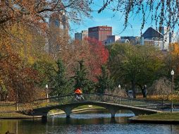 El fallecido demócrata Tony DeLuca, legislador local, se presentaba desde hace 20 años por la circunscripción 32 de Pensilvania, de los alrededores de Pittsburgh, fue reelegido con un 86% de los votos. AP / G. J. Puskar