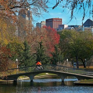 Reeligen a representante de Pensilvania pese a que murió hace un mes