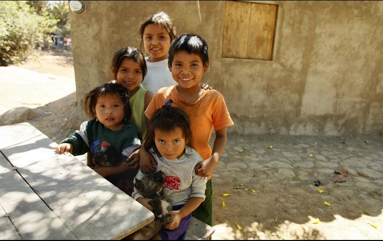 Uno de cada tres niños sufre desnutrición en Ecuador. EL INFORMADOR/ARCHIVO