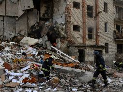 Zelenski agradeció a sus socios occidentales la implementación de proyectos de asistencia para la remoción de minas. AP/A. Andriyenko