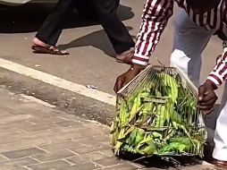 Inmediatamente los usuarios reaccionaron al video algunos aplaudieron la acción del señor, mientras que otros mencionaron que no era lo mejor ya que podrían correr peligro. ESPECIAL