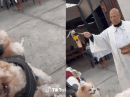 El perrito se retorció como si tuviese un demonio dentro. ESPECIAL/TikTok