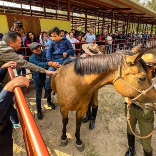 Inauguran caballerizas de la Comisaría de la Policía de Guadalajara