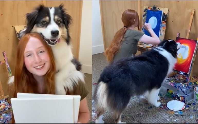 Su dueña se despidió de su perrito con el video mostrando su habilidad en la pintura, en el cual se puede apreciar que toma el pincel con su boca y comienza a pintar los cuadros que le indican. ESPECIAL