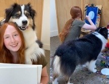 Su dueña se despidió de su perrito con el video mostrando su habilidad en la pintura, en el cual se puede apreciar que toma el pincel con su boca y comienza a pintar los cuadros que le indican. ESPECIAL