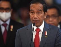 Joko Widodo arrancó la cumbre del G20 en la turística isla de Bali con un llamado a 