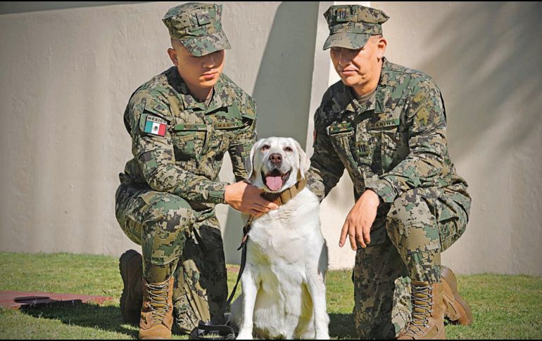 Frida contaba con una dieta de acuerdo a su edad, baja en energía metabolizable y baja en proteínas. SUN/ARCHIVO