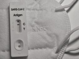 De acuerdo con autoridades, las subvariantes BQ.1 y BQ.1.1 tienen mayor transmisibilidad respecto a cepas anteriores de hasta un 30 por ciento. ESPECIAL/Foto de Waldemar Brandt en Unsplash