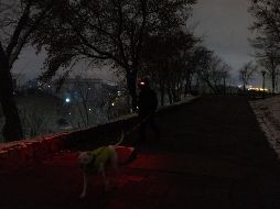 Un hombre pasea a su perro en medio de la oscuridad tras un apagón programado en Kiev. EFE/R. Pilipey