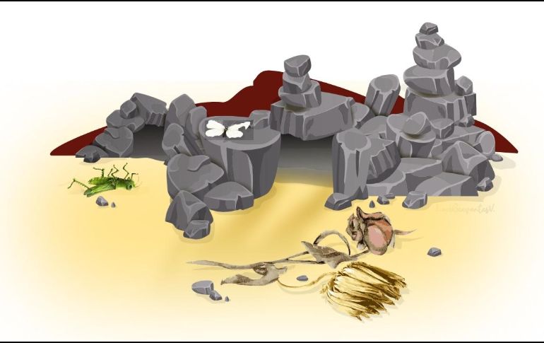 CORTESÍA/ Lore Cervantes