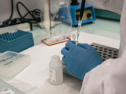 De acuerdo con información preliminar, la OMS estará publicando la lista actualizada de los patógenos potencialmente pandémicos antes de abril de 2023. AFP/ ARCHIVO