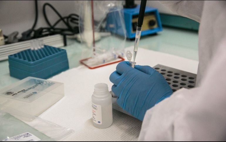 De acuerdo con información preliminar, la OMS estará publicando la lista actualizada de los patógenos potencialmente pandémicos antes de abril de 2023. AFP/ ARCHIVO