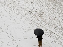 Entre dos y tres millones de ucranianos abandonaran el país en busca de calor y seguridad. AP / ARCHIVO
