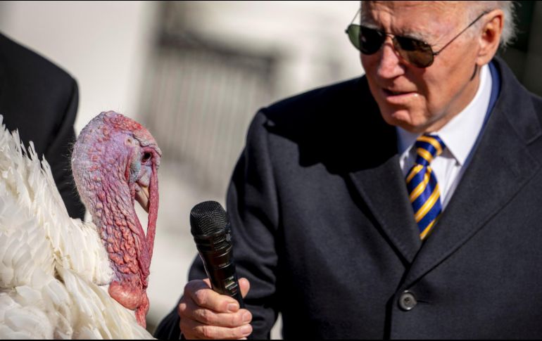JOE BIDEN. Desde hace 75 años, el presidente de EU perdona a algún ave de esta especie que protagoniza el plato principal de las festividades de Acción de Gracias. AP / A. Harnik