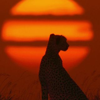 Hoy se estrena “Nuestro Universo” en Netflix