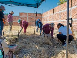 El colectivo “Hasta Encontrarte” reporta que desde el 28 de octubre pasado han exhumado 53 fundas con restos, en el Estado. AFP