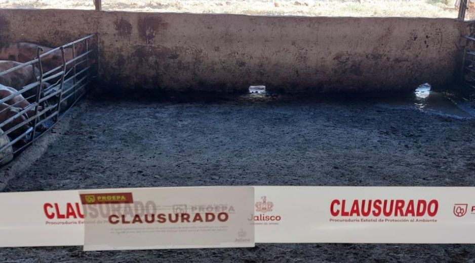 Se colocó cinta delimitadora y sello de clausura dentro de las instalaciones de la granja, medida que permanecerá hasta que se realicen las adecuaciones correspondientes. ESPECIAL / Gobierno de Jalisco