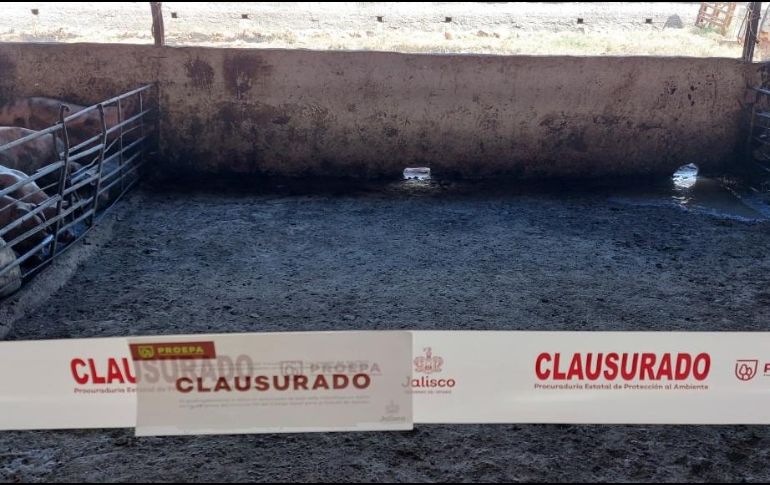 Se colocó cinta delimitadora y sello de clausura dentro de las instalaciones de la granja, medida que permanecerá hasta que se realicen las adecuaciones correspondientes. ESPECIAL / Gobierno de Jalisco