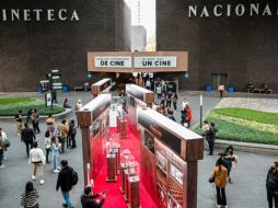 “Pinocho” estará disponible en cines selectos el próximo 24 de noviembre y en Netflix el 9 de diciembre. ESPECIAL/Netflix