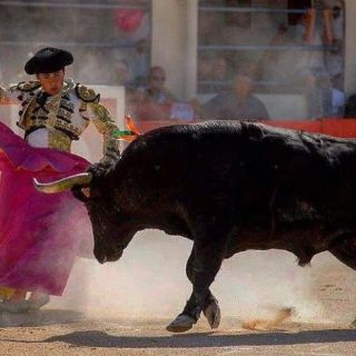 Michel Lagravere, a una década de su alternativa